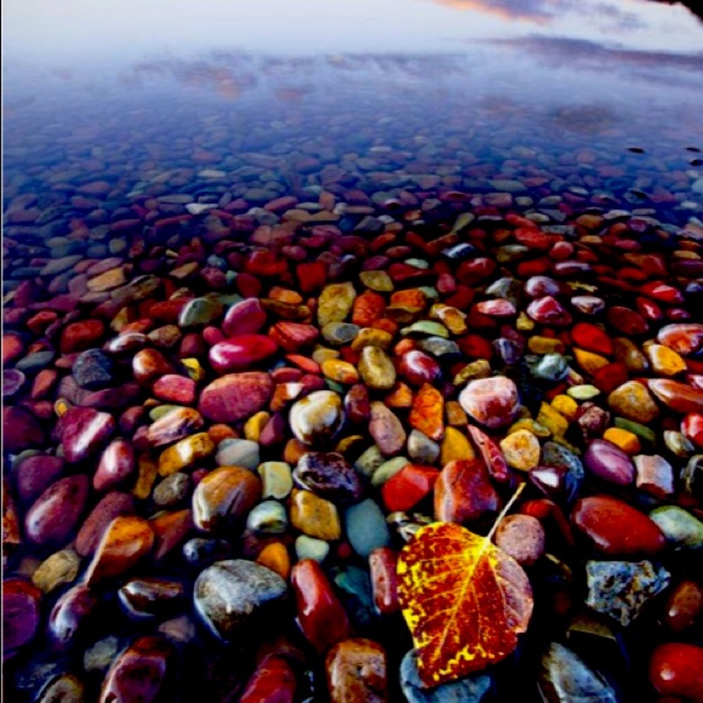 Meet your Posher, Jessi